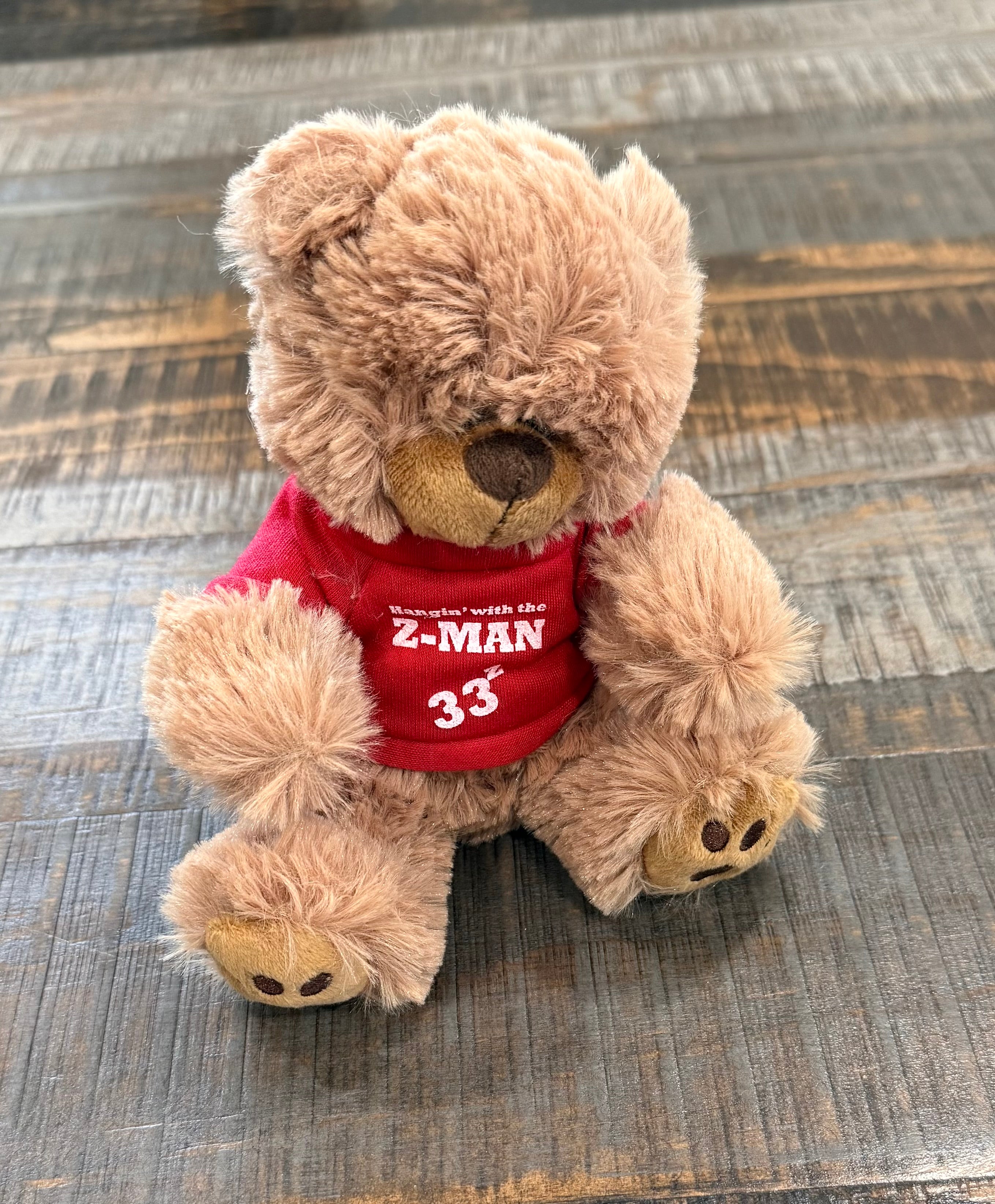 SALE  "Hanging with the Z-man" Teddy Bear